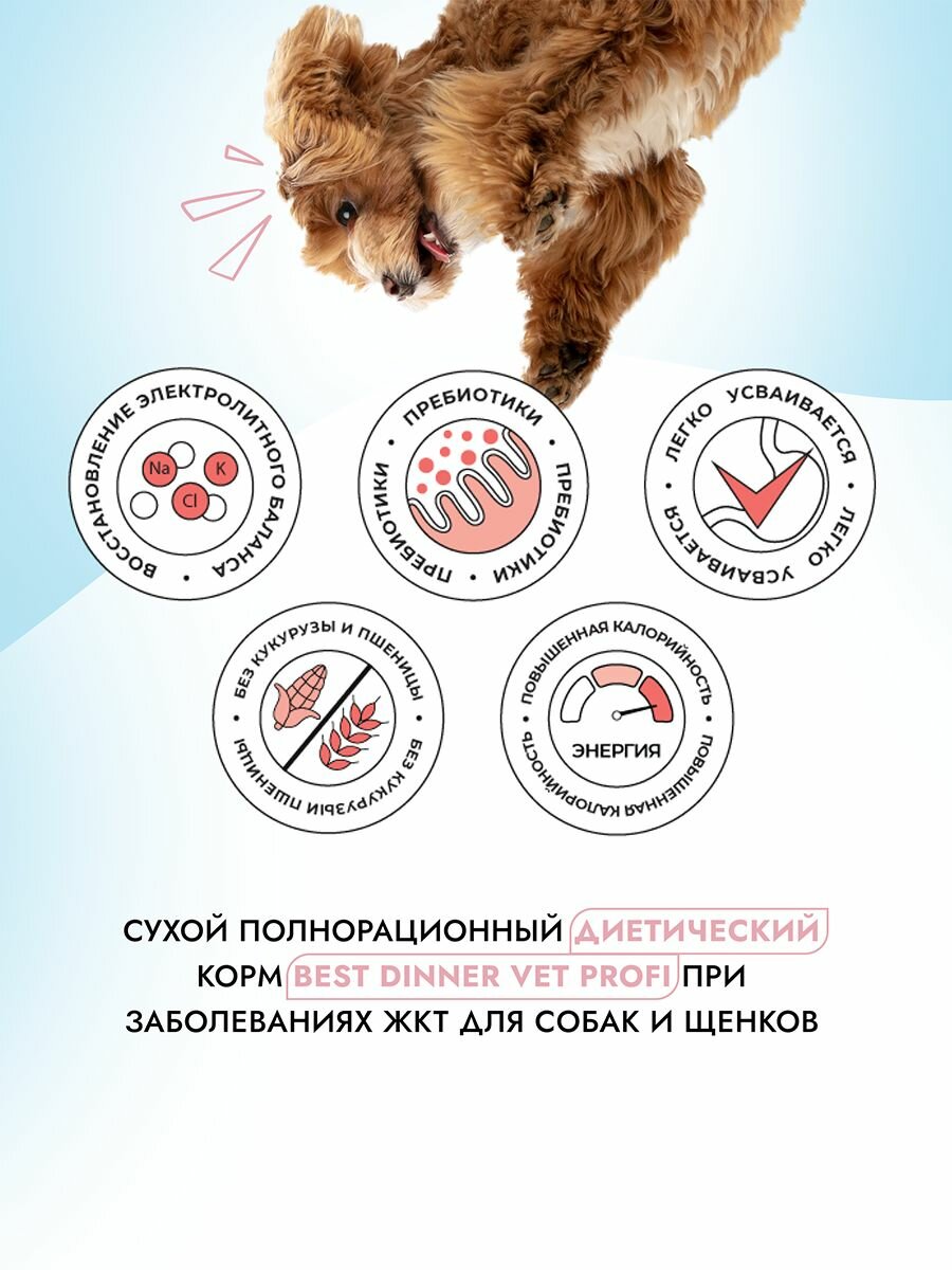 Корм сухой диетический супер премиум класса Vet Profi Gastrointestinal Low Fat для собак любых пород при нарушениях пищеварения, 2 кг Best Dinner (Бест Диннер) — фото 1
