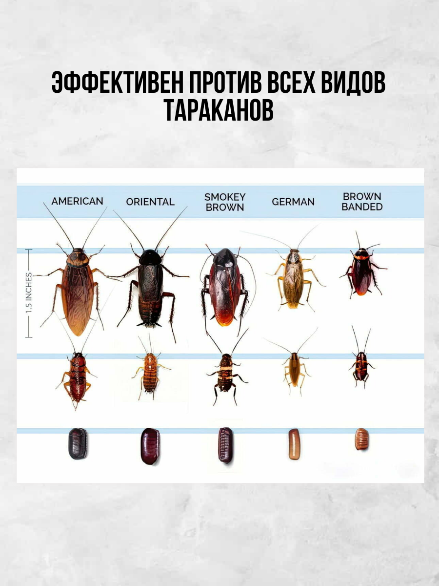 Профессиональное средство тараканов гель-паста Блаттокс Дуплекс — фото 1