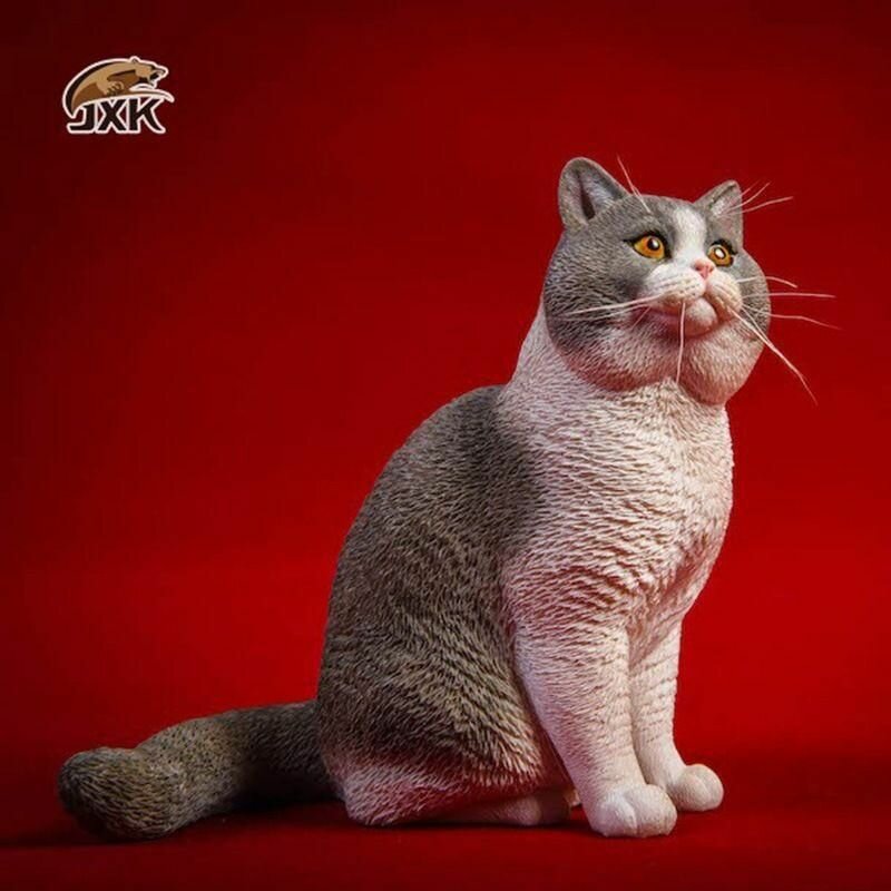 1/6 британская короткошерстная кошка декоративная статуя-орнамент -hj