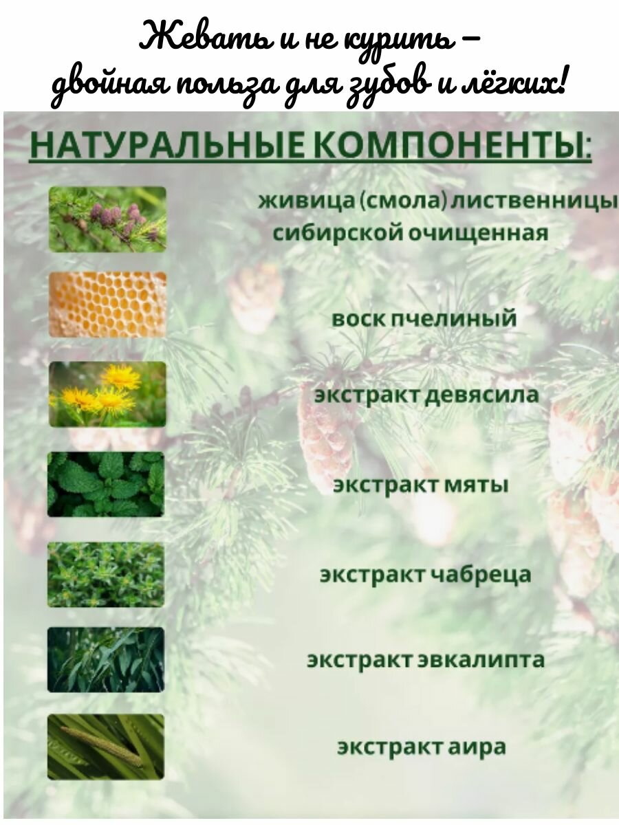 Картинки Смолка жевательная "Живица" от курения анти-никотин, Алтайский нектар