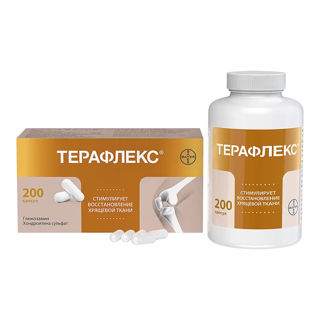 Терафлекс капсулы 500 мг+400 мг 200 шт