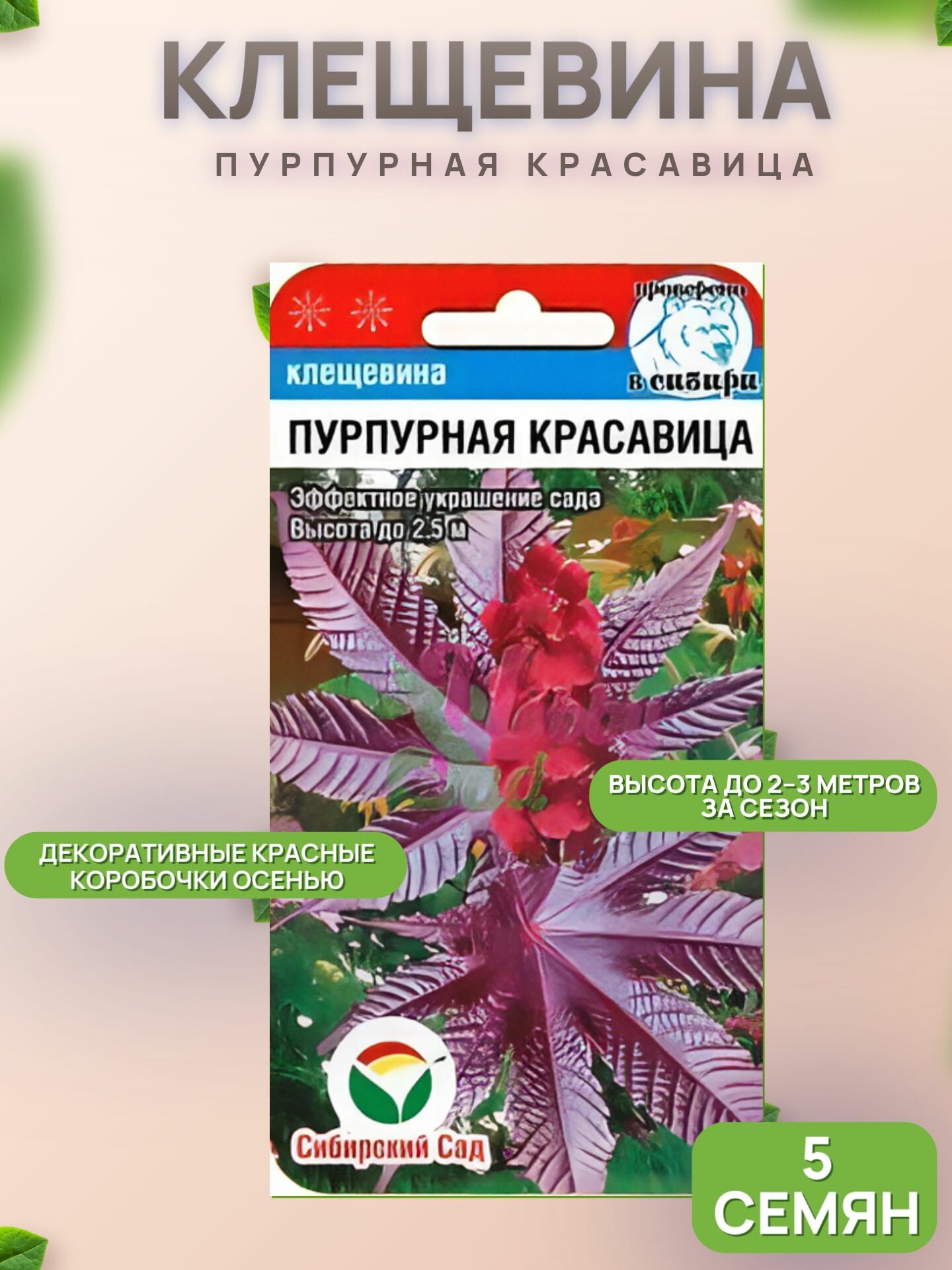 Клещевина Пурпурная красавица 5 семян (Сиб Сад)