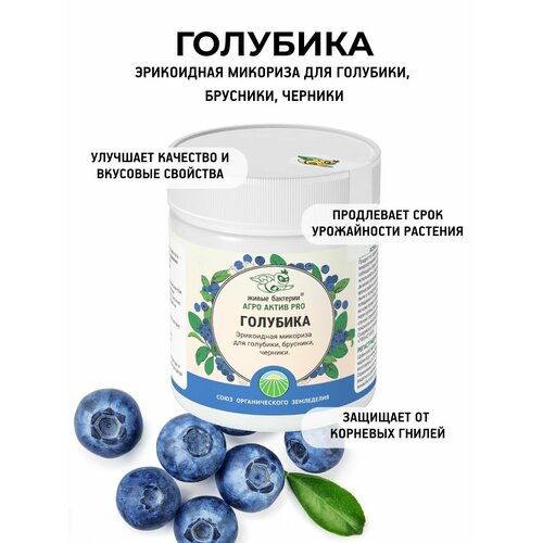 Агро Актив PRO голубика, биопрепарат на основе эрикоидной микоризы для стимуляции и защиты голубики, черники, брусники 200 г
