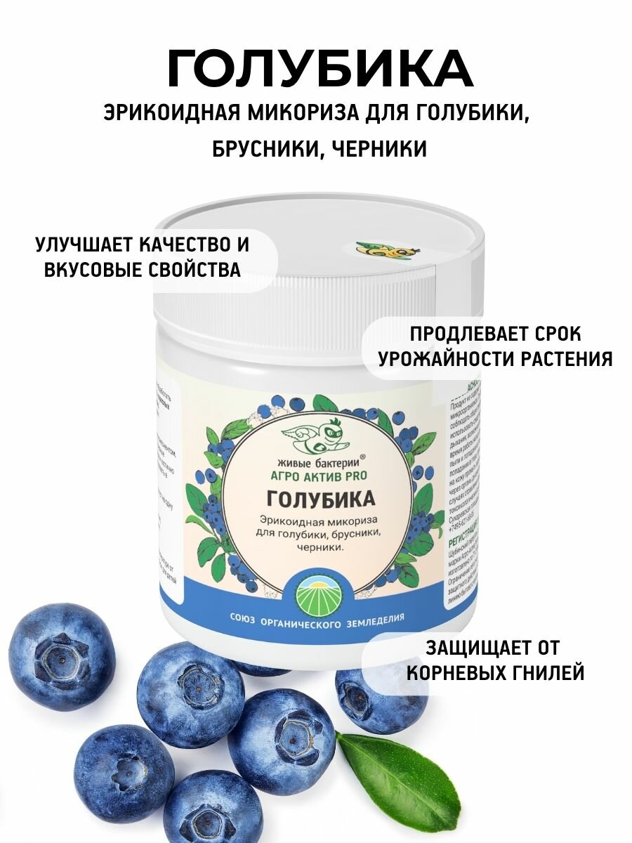 Удобрение для голубики и черники для открытого грунта и теплиц Агро Актив PRO Живые бактерии, 200 г