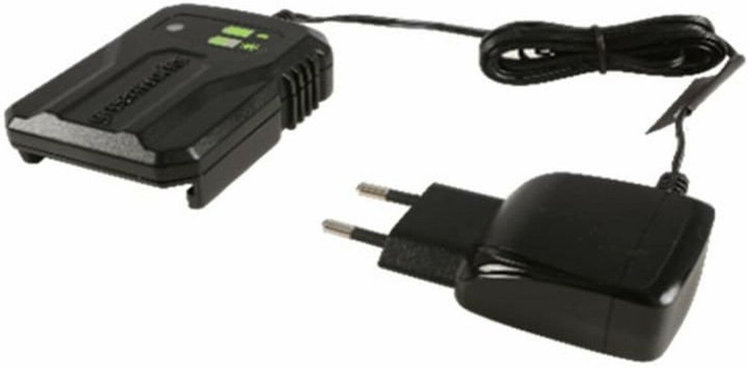 Зарядное устройство Greenworks G40UCM2M для аккумуляторов 40В 2А