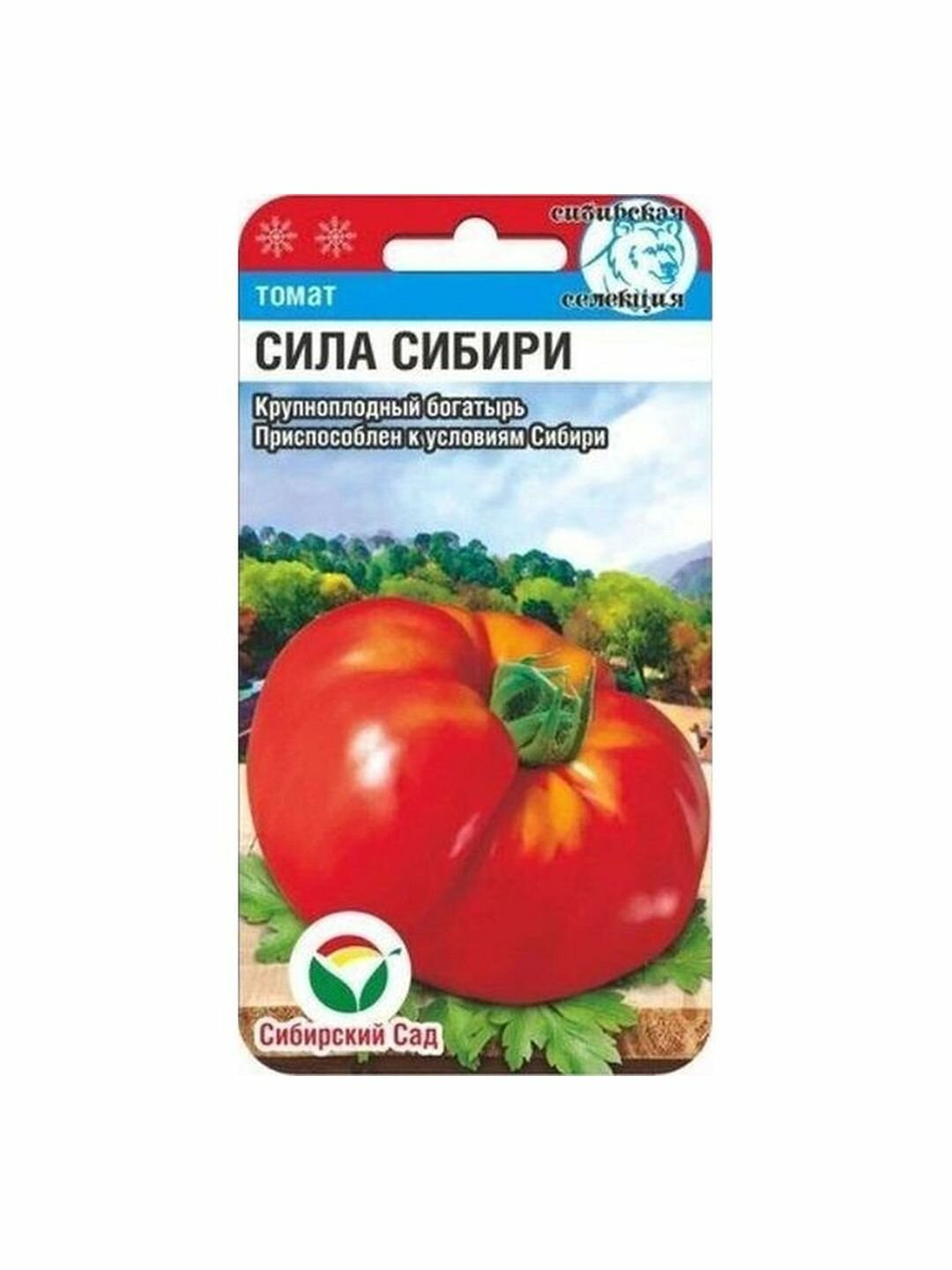 Семена Томат Сила Сибири  высокорослый  среднеспелый  Сибирский Сад  1 пачка   20 семян