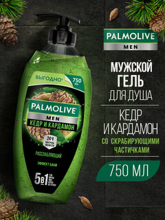 Изображение товара Мужской гель для душа Palmolive "Кедр и Кардамон" 5в1 Расслабляющий, эффект бани, 750 мл
