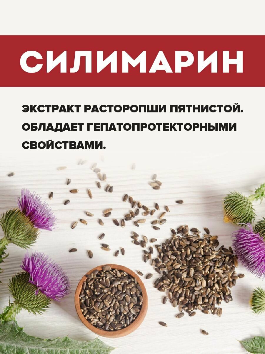 Силимарин 360 мг гепатопротектор для печени Экстракт расторопши, 90 капсул — фото 1