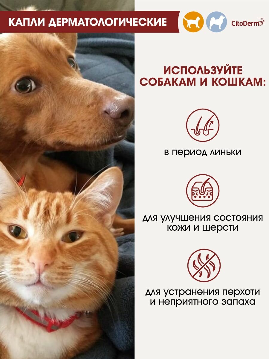 Капли дерматологические для кошек и собак до 10 кг CitoDerm для шерсти и кожи 4 шт — фото 1