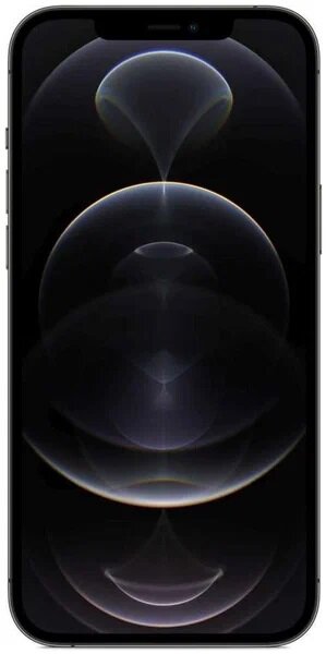 Apple iPhone 12 Pro Max 6/256GB Graphite (Apple A14 Bionic, NFC, 5G) — фото 1