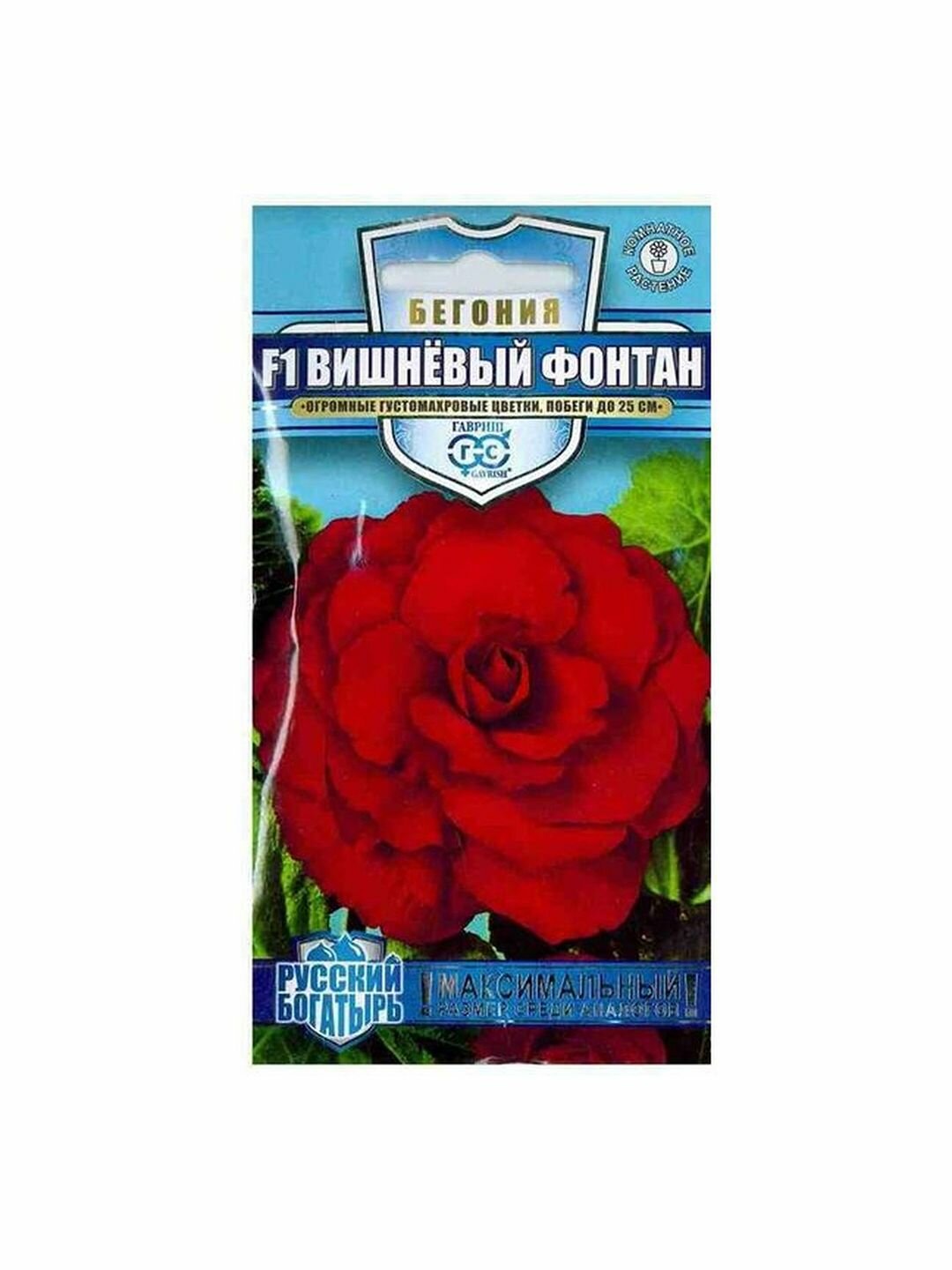 Семена Бегония Вишневый фонтан F1 однолетник комнатные Гавриш 1 пачка - 4 семя