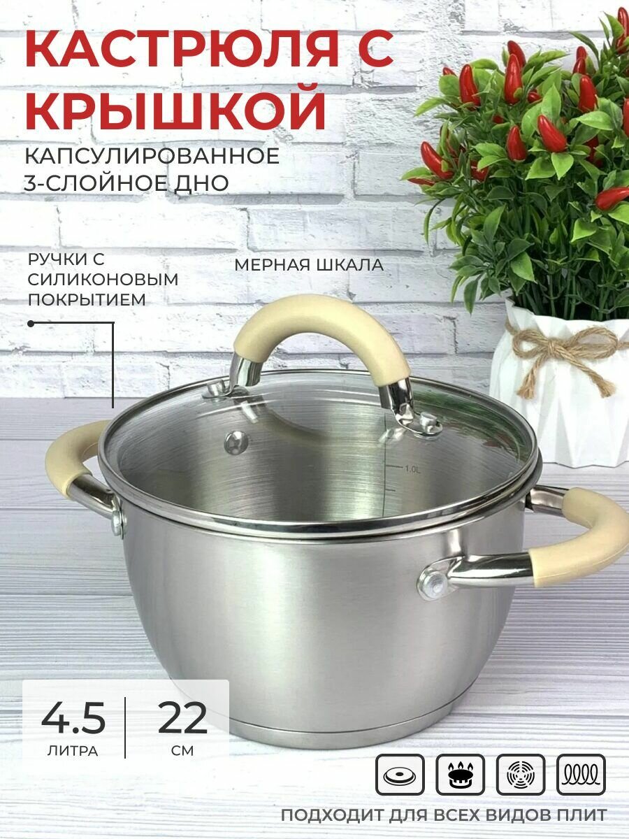 Кастрюля из нержавеющей стали 45 л с крышкой 22 см для всех видов плит включая индукционную