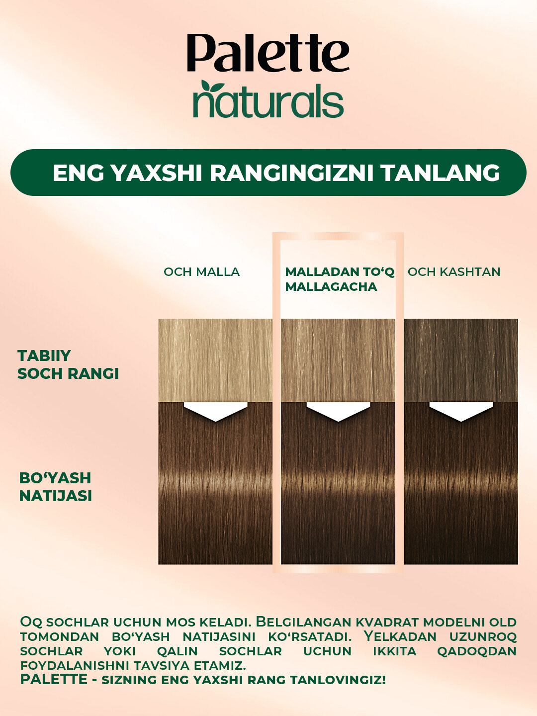 Краска для волос Henkel Palette PNC 6-0, для темно-русых волос — фото 1