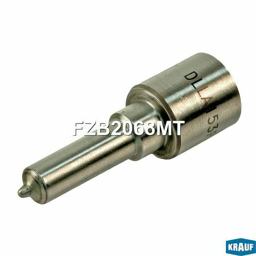 Распылитель форсунки, арт FZB2068MT