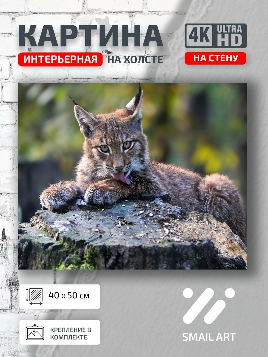 Картина на холсте интерьерная 40 на 50 на стену Рысь Landscape для офиса пейзаж интерьер