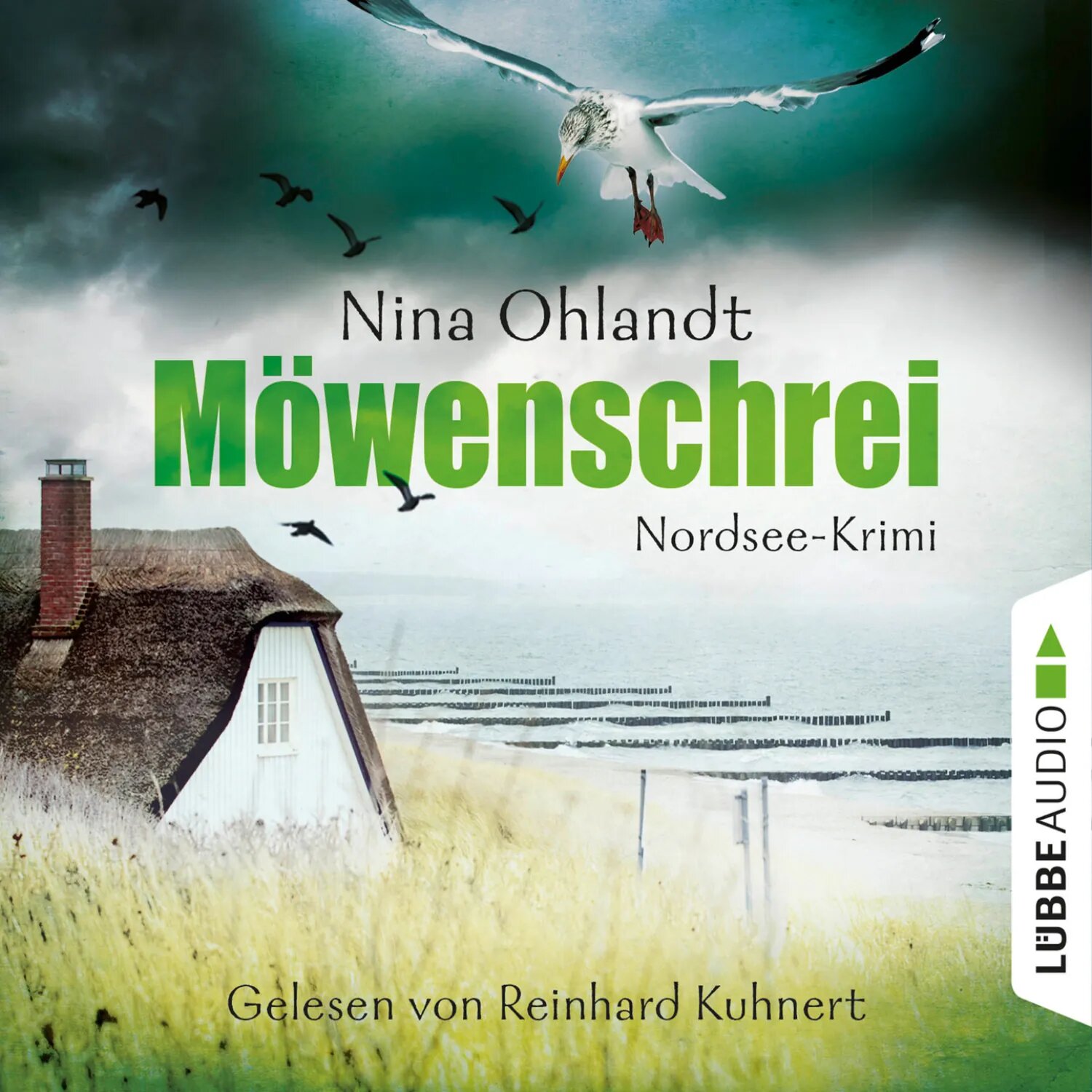 Möwenschrei - Hauptkommisar John Benthien 2 [Аудиокнига]
