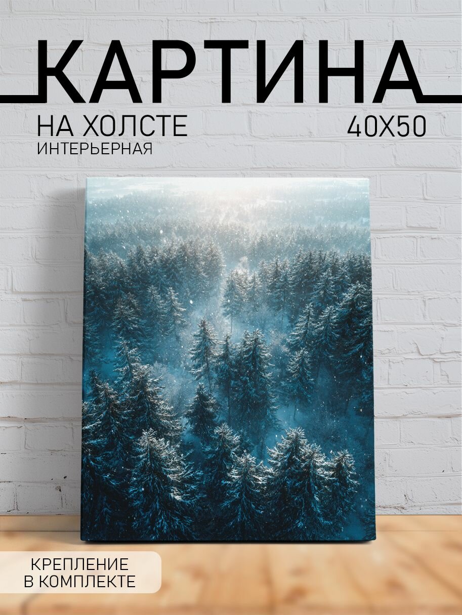 Картина на стену для интерьера на холсте с подрамником "Зимний лес", 40х50 см