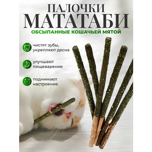 Палочки МАТАТАБИ с кошачьей мятой 6 штук, Игрушка для кошек для чистки зубов, кошачья мята