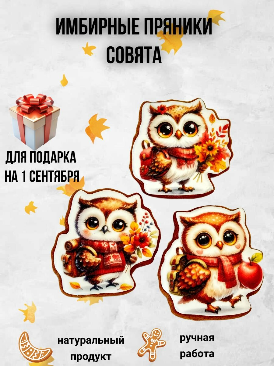 Имбирные медовые пряники Совята, в подарок на 1 сентября, подарочные открытки, в наборе 3 пряников