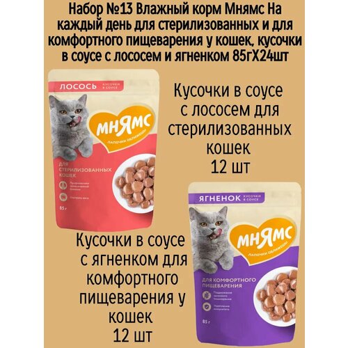 Набор №13 Влажный корм Мнямс для стерилизованных кошек, кусочки в соусе с лососем и ягненком, 24 шт х 85 гр