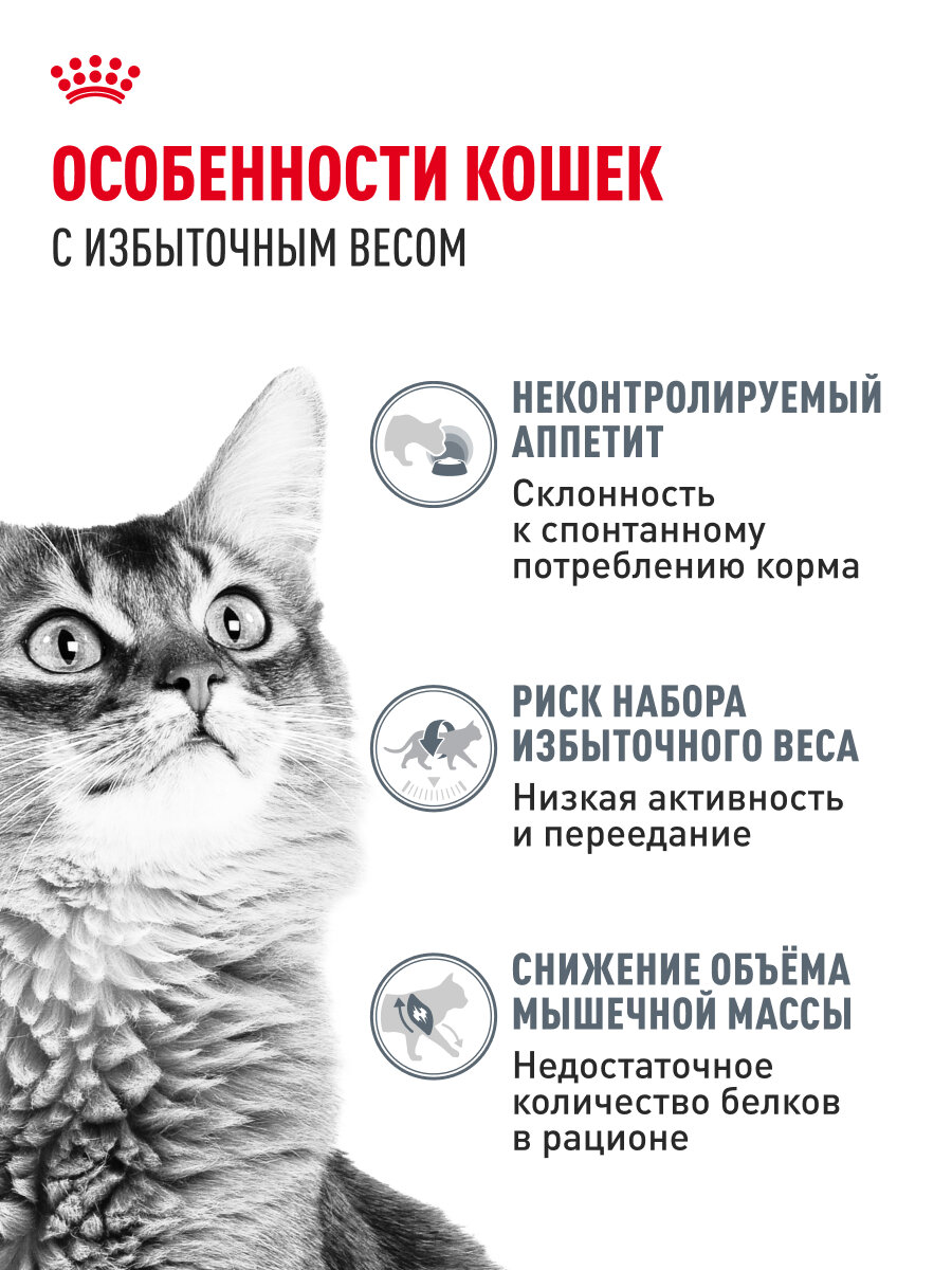 Изображение Сухой корм для кошек Royal Canin Light Weight Care для профилактики лишнего веса, 1,5 кг