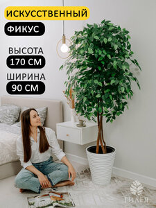 Основная фотография от вендора