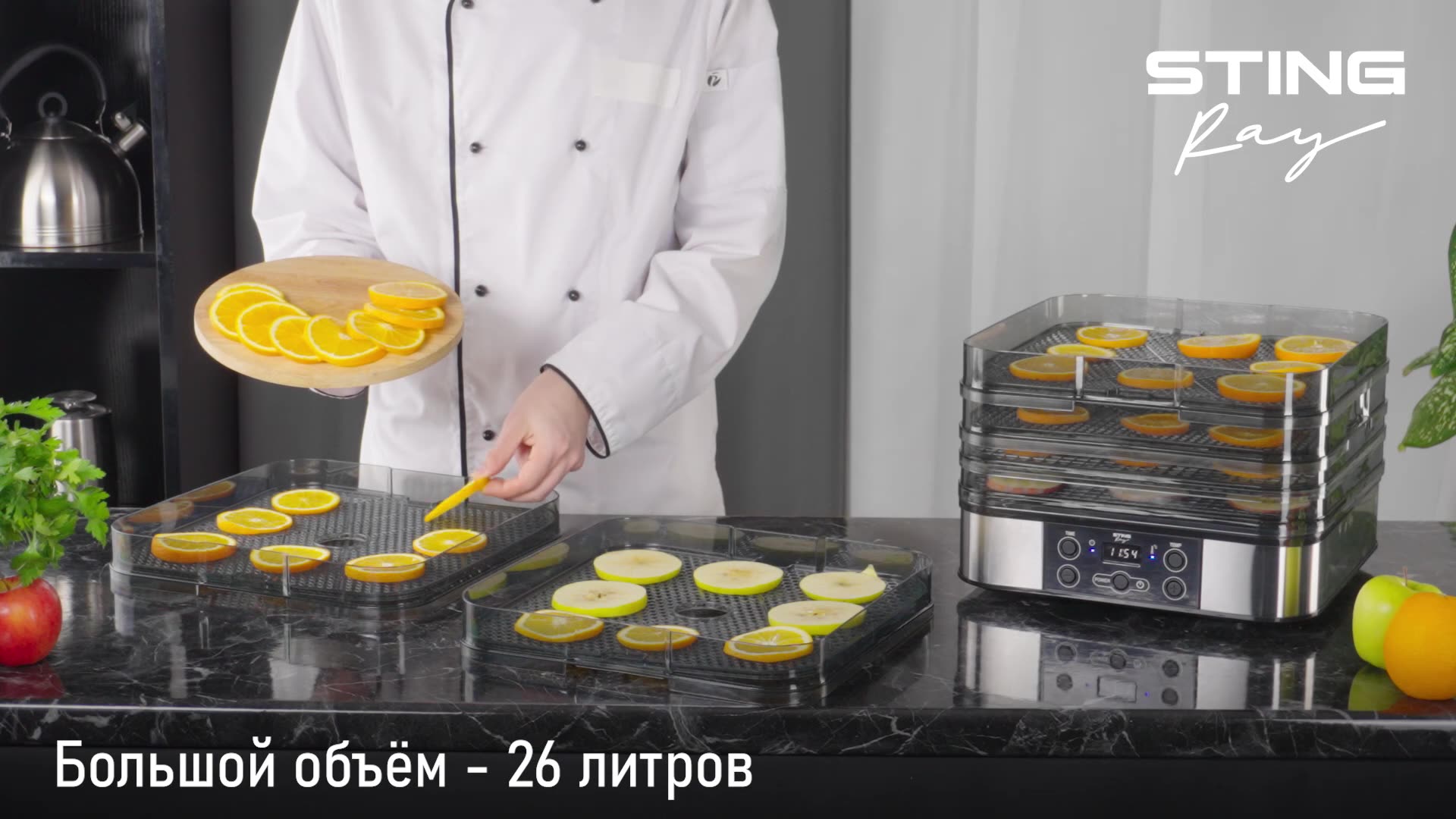 Электросушилка StingRay ST-FD700C, 750 Вт, 10 уровней, пластик — фото 1