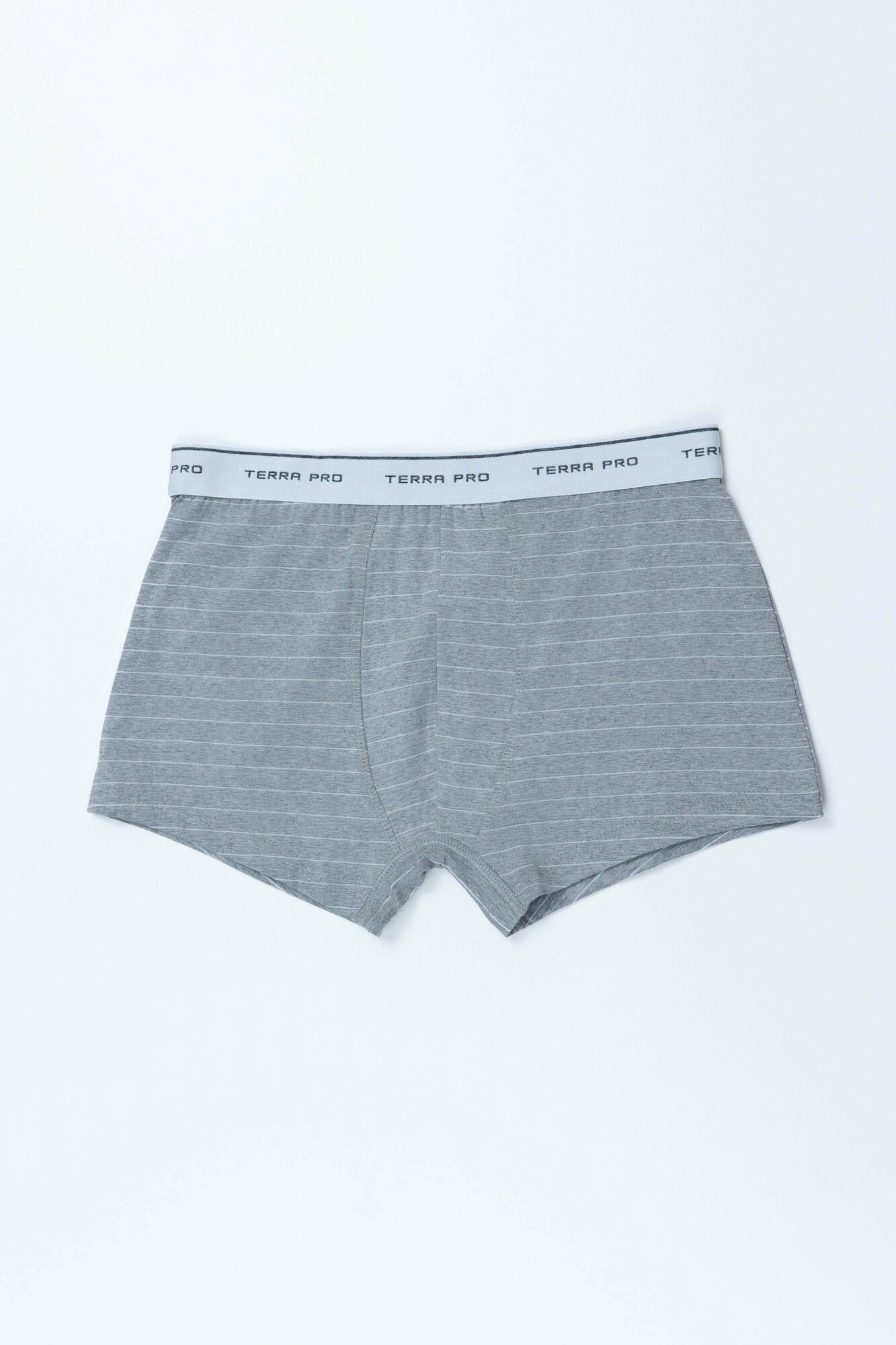 Трусы TERRA PRO, размер S, grey