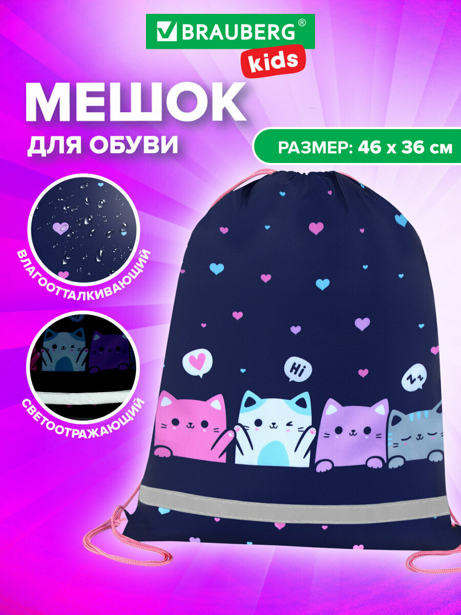 Мешок для обуви сумка для сменки в школу чехол детский плотный со светоотражающей полосой 46х36 см Brauberg Kids 273437
