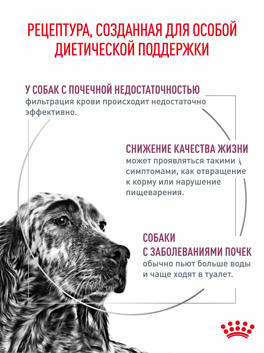 Сухой корм для собак Royal Canin Renal при заболеваниях почек, 2 кг — фото 1