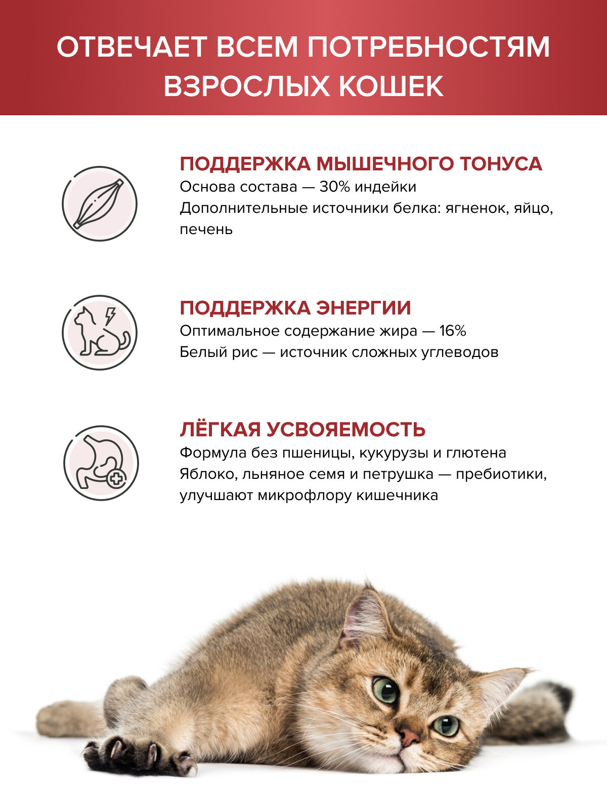 Корм для кошек сухой индейка, ягненок и рис, беззерновой, суперпремиум, 800 г — фото 1