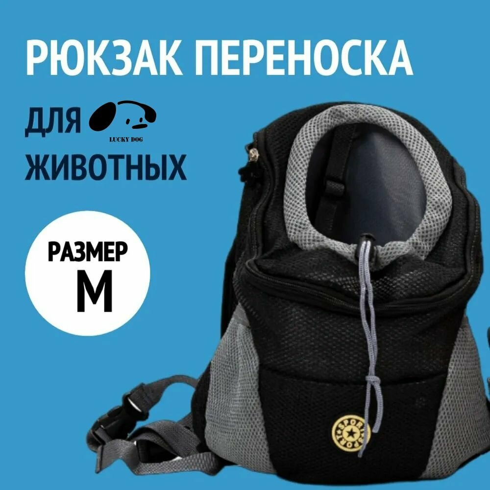 Переноска