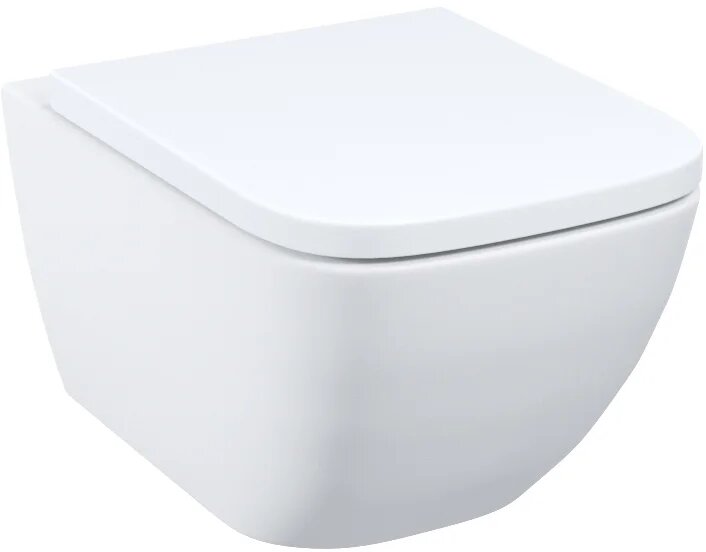 Унитаз подвесной IDDIS Torr TORRDSEi25 с микролифтом безободковый без бачка фарфоровый антивсплеск белый овальный