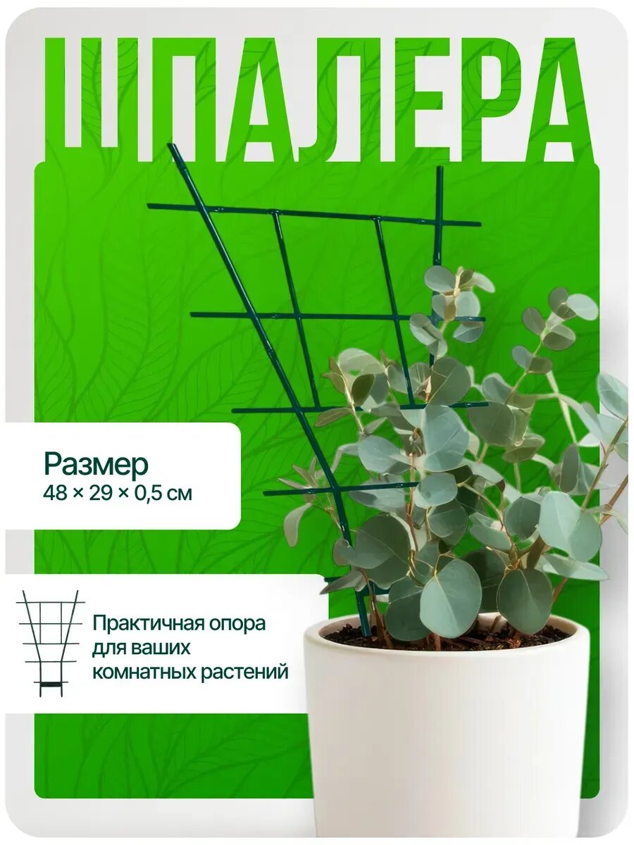 Шпалера для комнатных растений