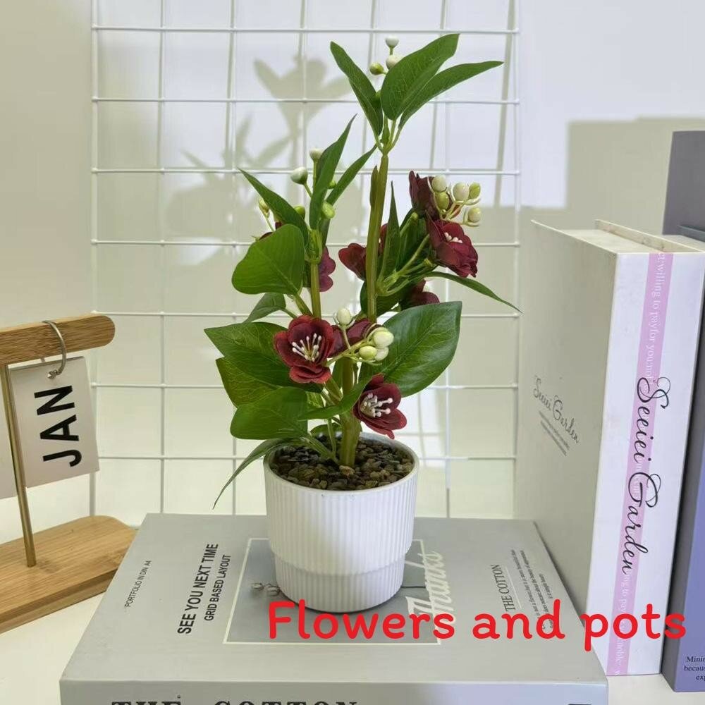 Jasmine flower small decorative plant for home decor and photography scene setting red