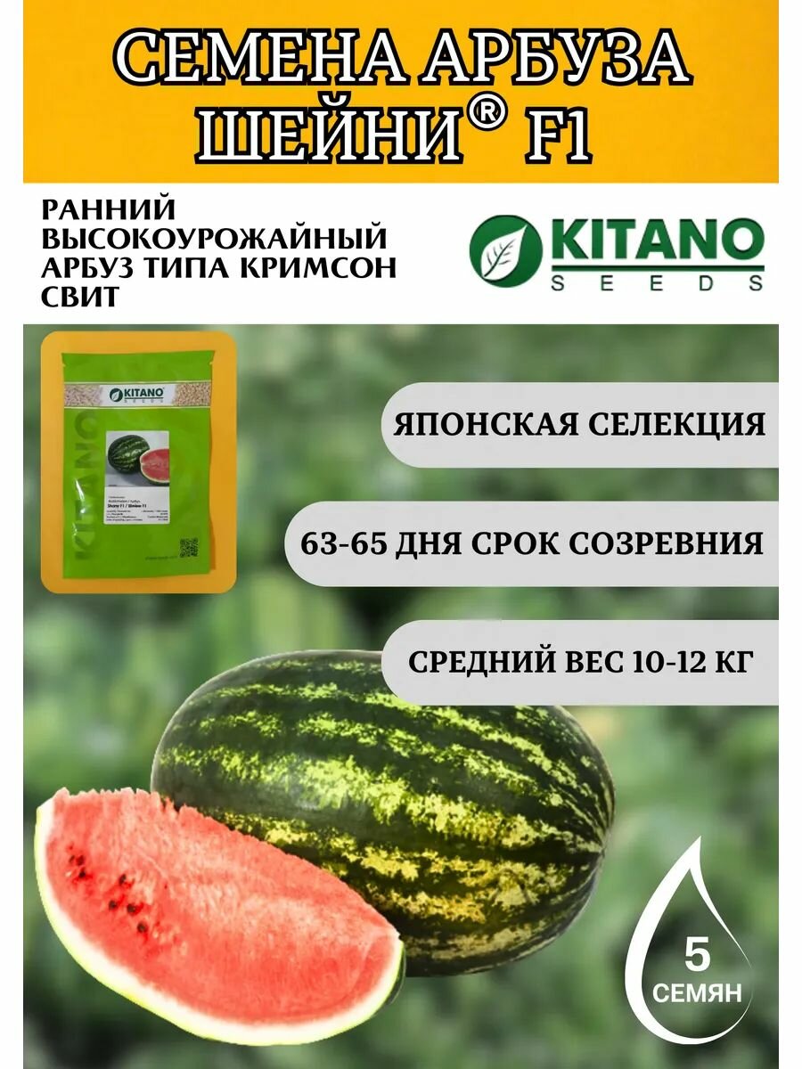 Профессиональные семена арбуза Шейни F1 5 штук Kitano seeds