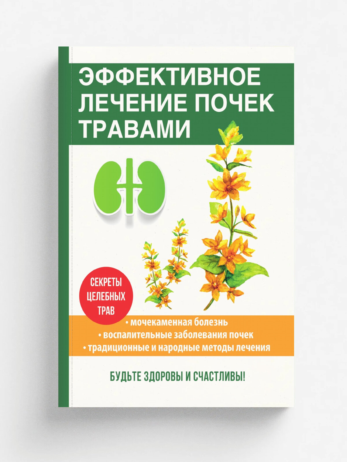 Эффективное лечение почек травами