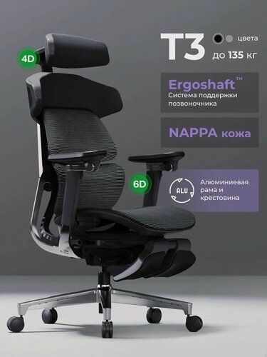 Изображение товара Кресло компьютерное эргономичное ортопедическое для дома и офиса Ergostul T3 Black