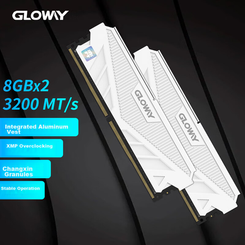 Gloway 16GB (8GBx2) Kit DDR4 3200 Desktop Memory Module, Tianche