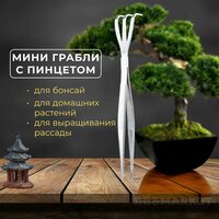 Садовые мини грабли пинцет 2 в 1 для ухода за комнатными растениями выращивания бонсай и работ с альпийскими горками