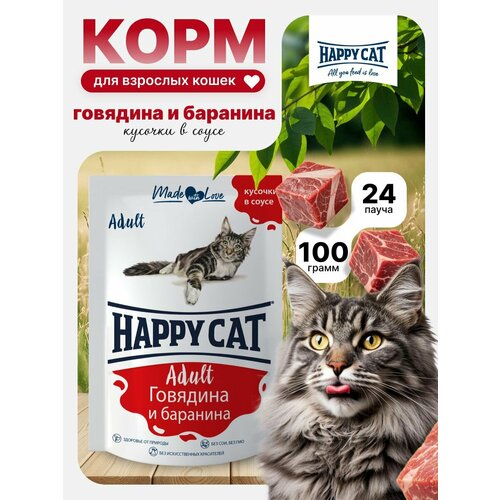 Корм влажный для кошек Хэппи Кэт (Happy Cat) кусочки с говядиной и бараниной в соусе , пауч (24шт*100гр)