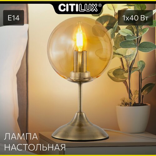Изображение товара Настольный светильник Citilux Томми CL102813, цвет арматуры бронзовый