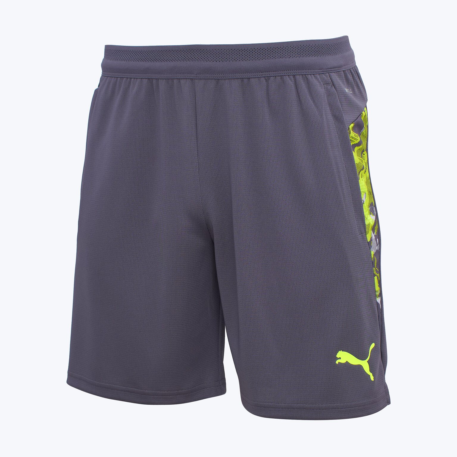 Шорты спортивные PUMA Individualcup