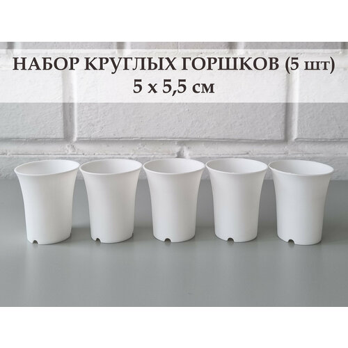 фото White garden белые круглые горшки для суккулентов 5х5,5 см. набор из 5 штук