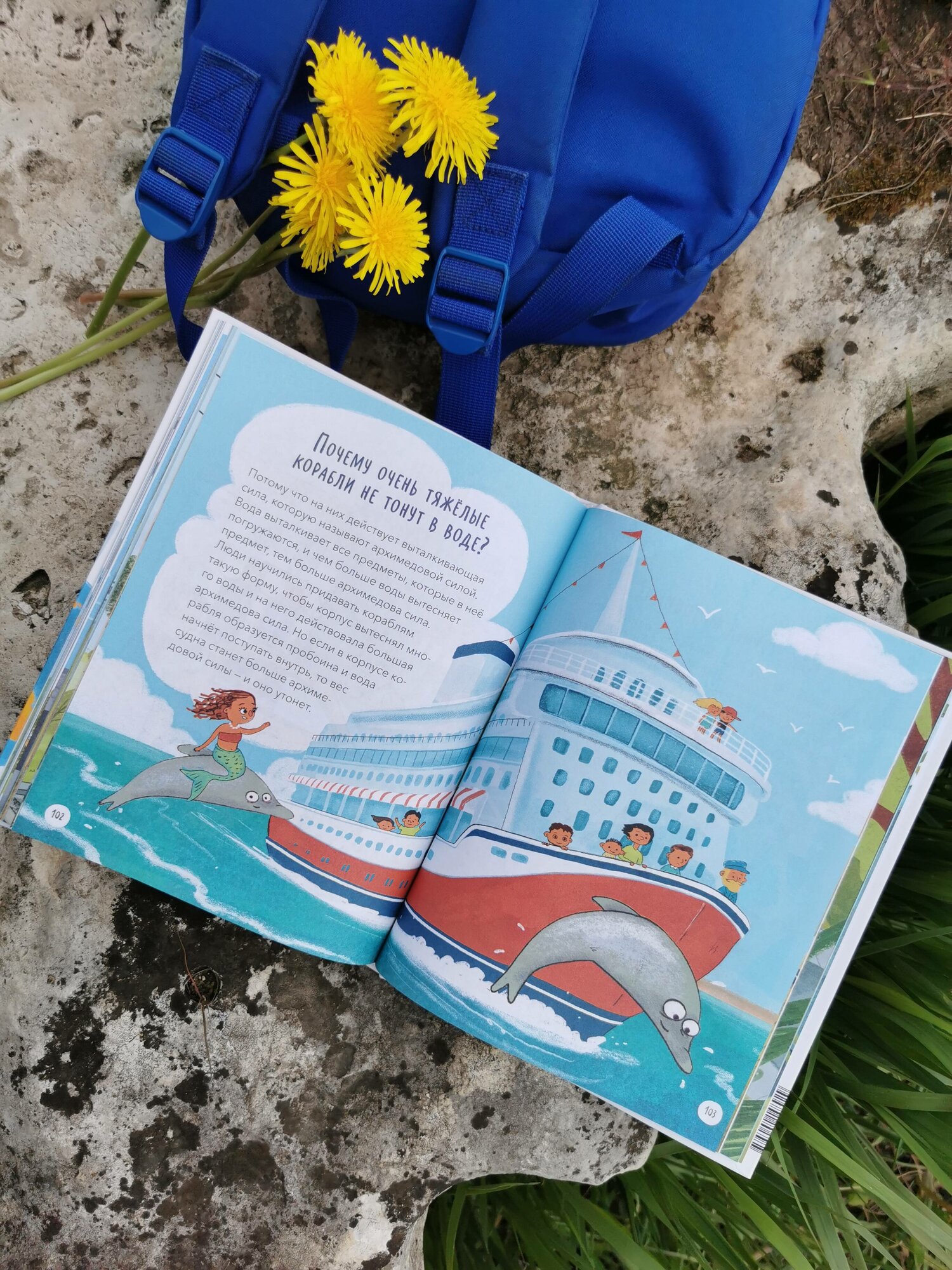 Что, где и почему? (Толмачев Александр Вячеславович) - фото №15