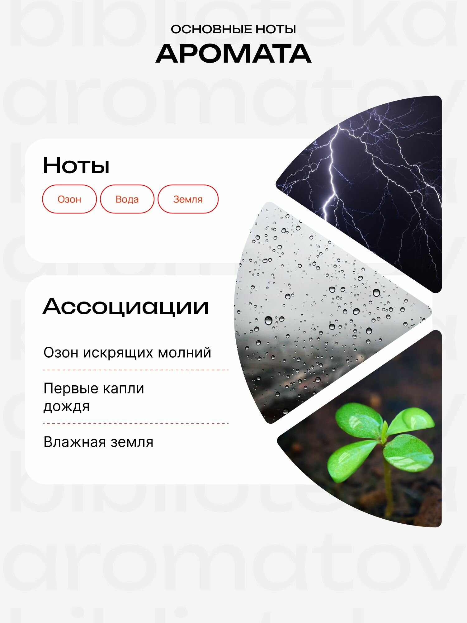 Demeter Fragrance Library (Деметер) Туалетная вода Гроза "Thunderstorm" 30 мл, библиотека ароматов — фото 1