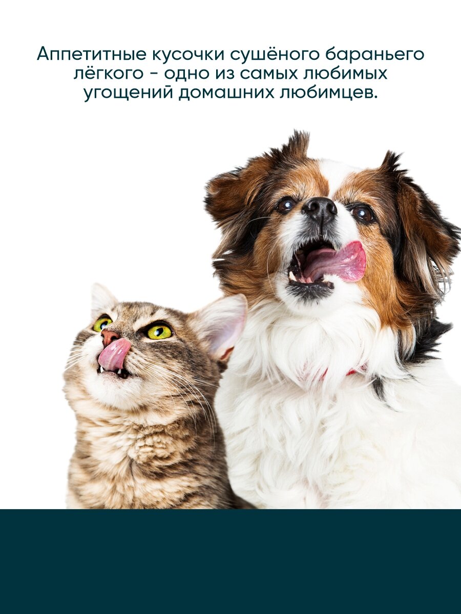 Изображение Лакомство для кошек TiTBiT, Легкое баранье сушеное - мягкая упаковка