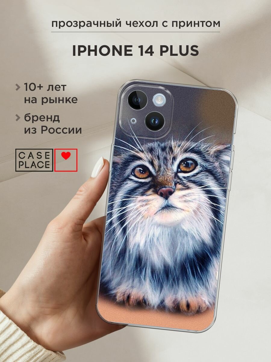 Чехол на Apple iPhone 14 Plus / Айфон 14 Плюс с принтом "Кот манул 2"