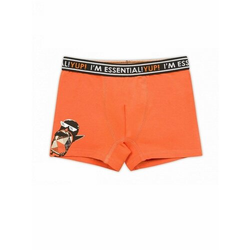 фото Трусы pelican, размер 2, оранжевый