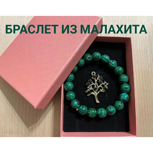 фото Подарочный набор - браслет из камня малахит и оберег ручной работы денежное дерево в подарочной коробке apg